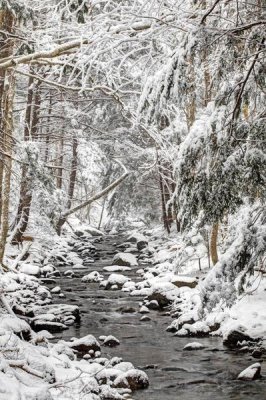 Scott Leslie - Stream in winter, Nova Scotia, Canada