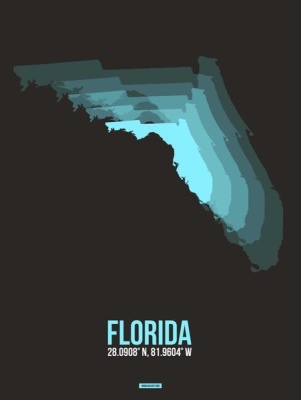 NAXART Studio - Florida Radiant Map 6