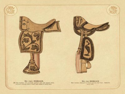 Unknown - Saddles and Tack: Morgan Saddles #2