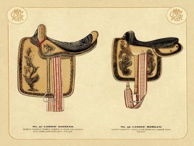 Unknown - Saddles and Tack: Ladies' Saddles #4