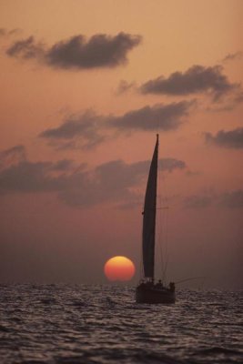 Flip Nicklin - Sailboat adrift at sunset, Sri Lanka
