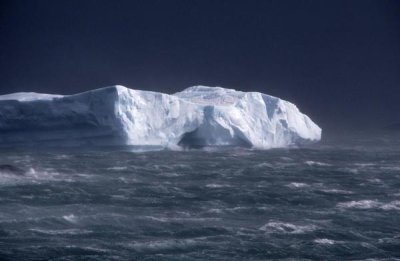 Flip Nicklin - Iceberg near Palmer Peninsula, Antarctica