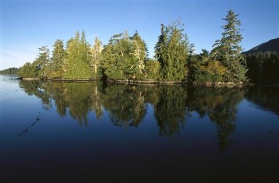 Flip Nicklin - Clayoquot Sound, Vancouver Island, British Columbia, Canada