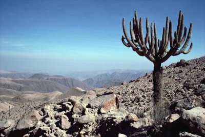 Tui De Roy - Atacama Desert located at foothills of the Andes, driest region in the world, Peru