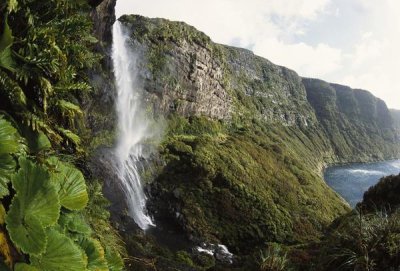 Tui De Roy - Waterfall dropping into Fata forest, Auckland Island, New Zealand