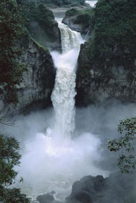 Tui De Roy - San Rafael Falls on the Coca River, Ecuador