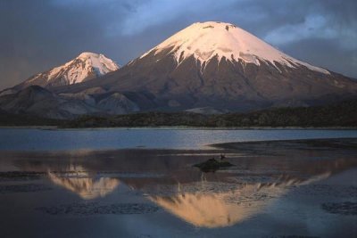 Tui De Roy - Parincota, elevation 6,232 meters, Lauca National Park, Andes Mountains, Chile