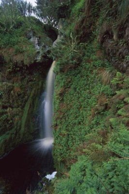 Tui De Roy - Waterfall draining rain-drenched coastal plateau, Gough Island, South Atlantic