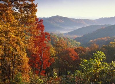 Tim Fitzharris - Autumn foliage on Blue Ridge Range near Jumping Off Rock, North Carolina