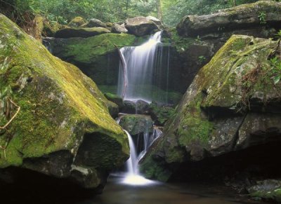 Tim Fitzharris - Cascade near Grotto Falls, Great Smoky Mountains National Park, Tennessee