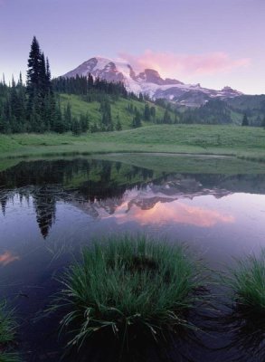 Tim Fitzharris - Mt Rainier reflected in lake, Mt Rainier National Park, Washington