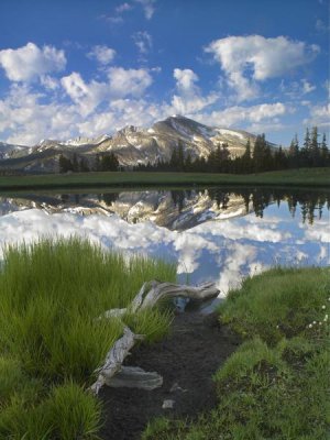 Tim Fitzharris - Mammoth Peak reflected in seasonal pool,  Yosemite NP, California