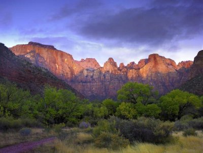 Tim Fitzharris - Towers of the Virgin, Zion National Park, Utah