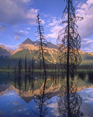 Tim Fitzharris - Chancellor Peak reflected in lake, Yoho National Park, BC, Canada