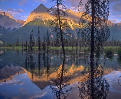 Tim Fitzharris - Chancellor Peak reflected in lake, Yoho National Park, BC, Canada