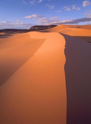 Tim Fitzharris - Wind ripples in sand dunes, Coral Pink Sand Dunes State Park, Utah