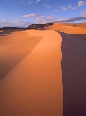 Tim Fitzharris - Wind ripples in sand dunes, Coral Pink Sand Dunes State Park, Utah
