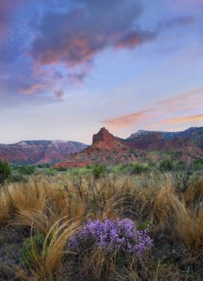 Tim Fitzharris - Caprock Canyons State Park, Texas