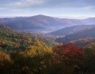 Tim Fitzharris - Autumn deciduous forest from the Blue Ridge Parkway, North Carolina