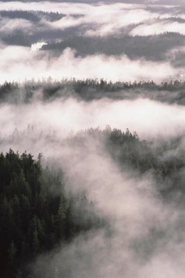 Gerry Ellis - Gokachin Lakes, Misty Fjords National Monument Wilderness, Alaska