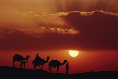Gerry Ellis - Dromedary camels and Bedouins, Great Sand Sea, Sahara Desert, Egypt