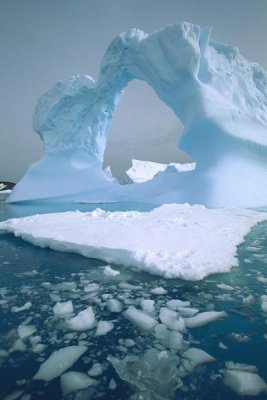 Colin Monteath - Iceberg with arch, Petermann Island, Antarctic Peninsula, Antarctica