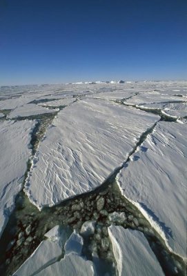 Colin Monteath - Heavy pack ice with embedded icebergs, Terre Adelie Land, east Antarctica