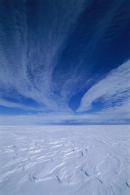 Grant Dixon - Cirrus clouds above icy plateau, Antarctica