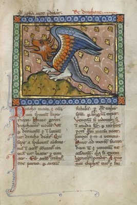 Franco-Flemish 13th Century - A Dragon