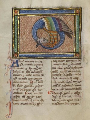 Franco-Flemish 13th Century - A Dragon-like Snake