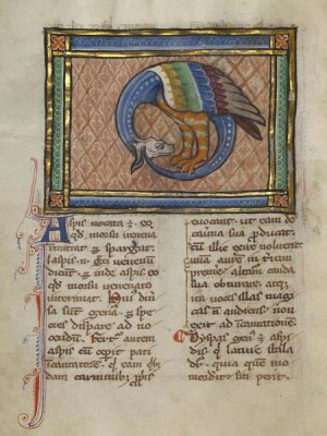 Franco-Flemish 13th Century - A Dragon-like Snake
