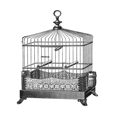 Catalog Illustration - Etchings: Birdcage - Filigree base.