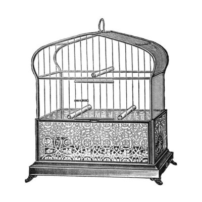 Catalog Illustration - Etchings: Birdcage - Onion-peak top, filigree pattern base