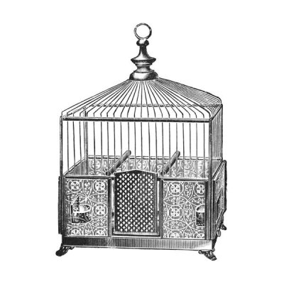 Catalog Illustration - Etchings: Birdcage - Pyramidal top, patterned base.