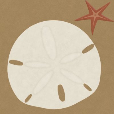 BG.Studio - Summer Fun: Sand Dollar