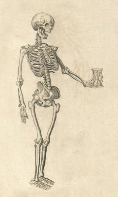 Caspar Bauhin - Human Skeleton with Hourglass