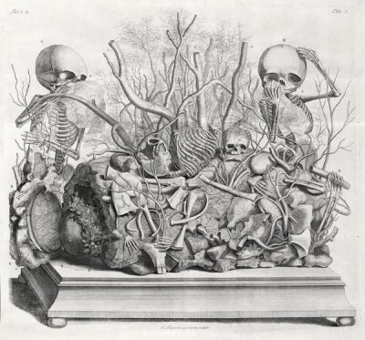 Cornelis Huyberts - Diorama of fetal skeletons arranged with various internal organs