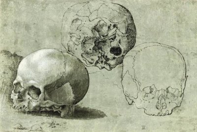 Unknown Southern German - Study of Three Skulls