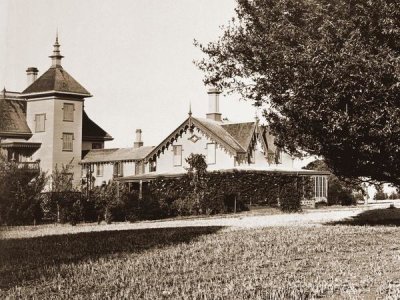 Carleton Watkins - Residence of Mr. Howard, San Mateo, California, with Olive Tree, 1863-1880