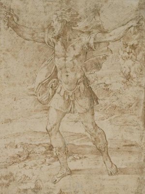 Parmigianino - David with the Head of Goliath