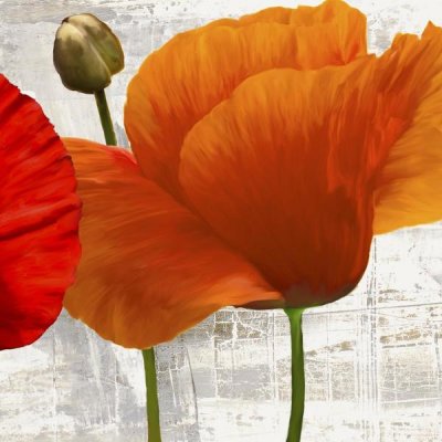 Jenny Thomlinson - Summer Poppies II