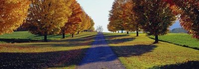 Richard Berenholtz - Autumn Road, Storm King Mountain, New York