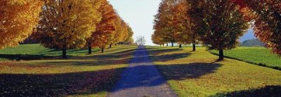 Richard Berenholtz - Autumn Road, Storm King Mountain, New York