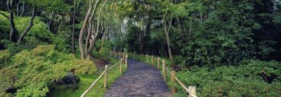 Richard Berenholtz - Tea Garden Walkway, San Francisco Botanical Gardens