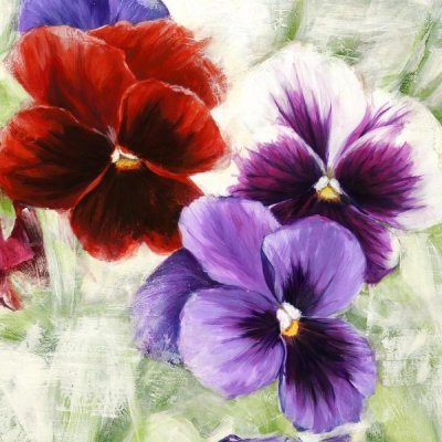 Jenny Thomlinson - Pansies I