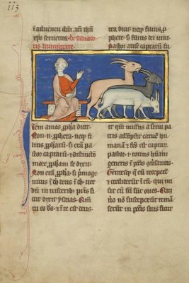 Unknown 13th Century Illustrator - Amos and Three Goats