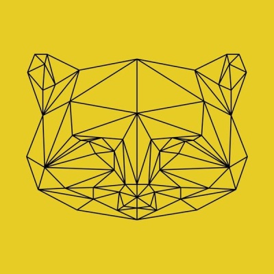 NAXART Studio - Yellow Raccoon Polygon