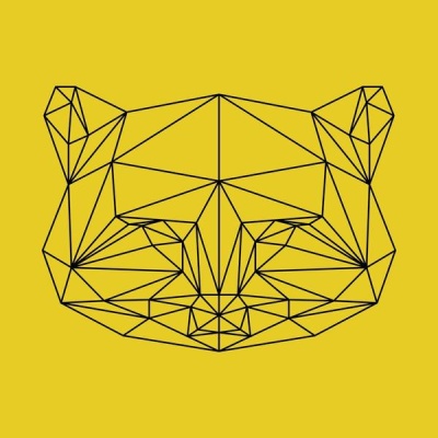 NAXART Studio - Yellow Raccoon Polygon