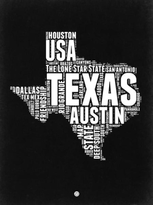 NAXART Studio - Texas Black and White Map