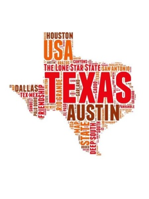 NAXART Studio - Texas Word Cloud Map